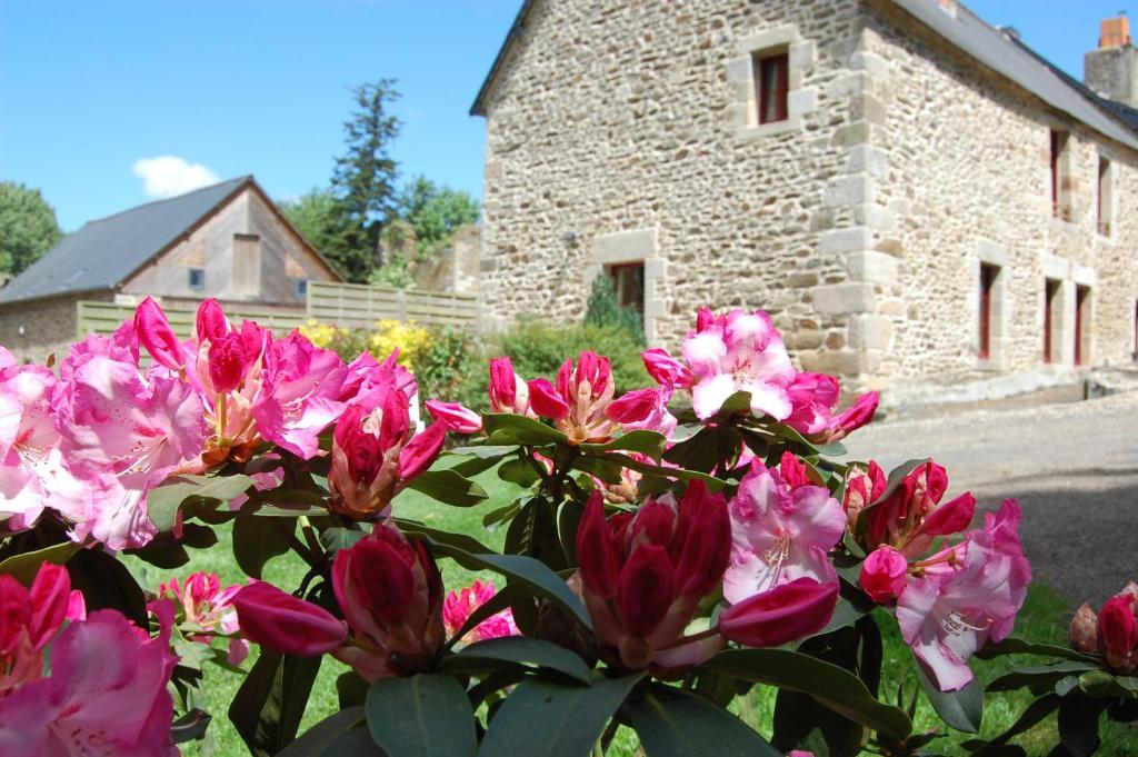 Maison D'Hotes & Gites Domaine De La Garaye Dinan Exterior photo